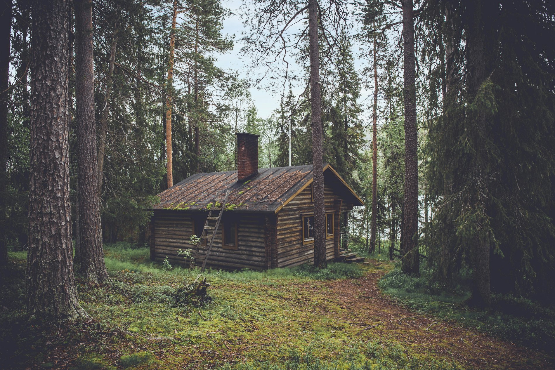 Cottage cabin in the woods